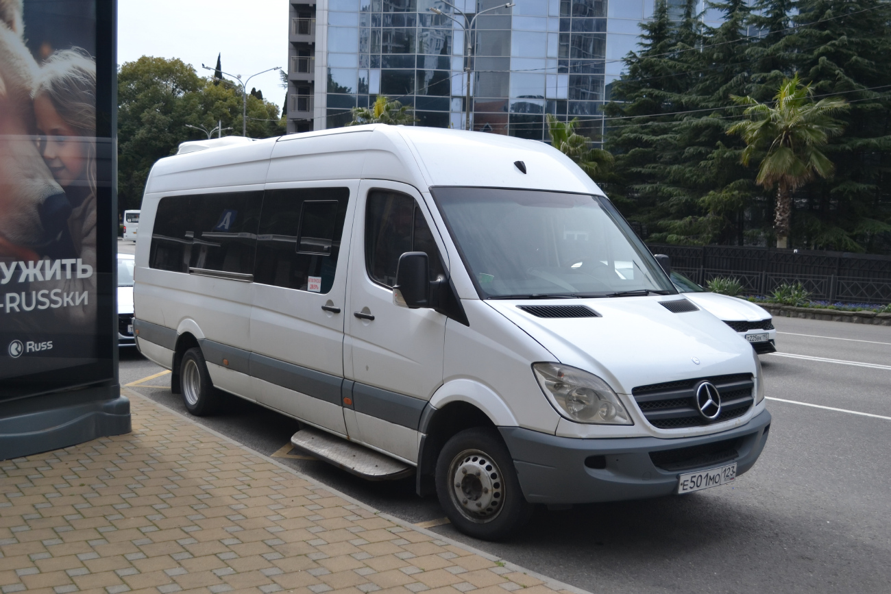 Краснодарский край, Луидор-22360C (MB Sprinter) № Е 501 МО 123